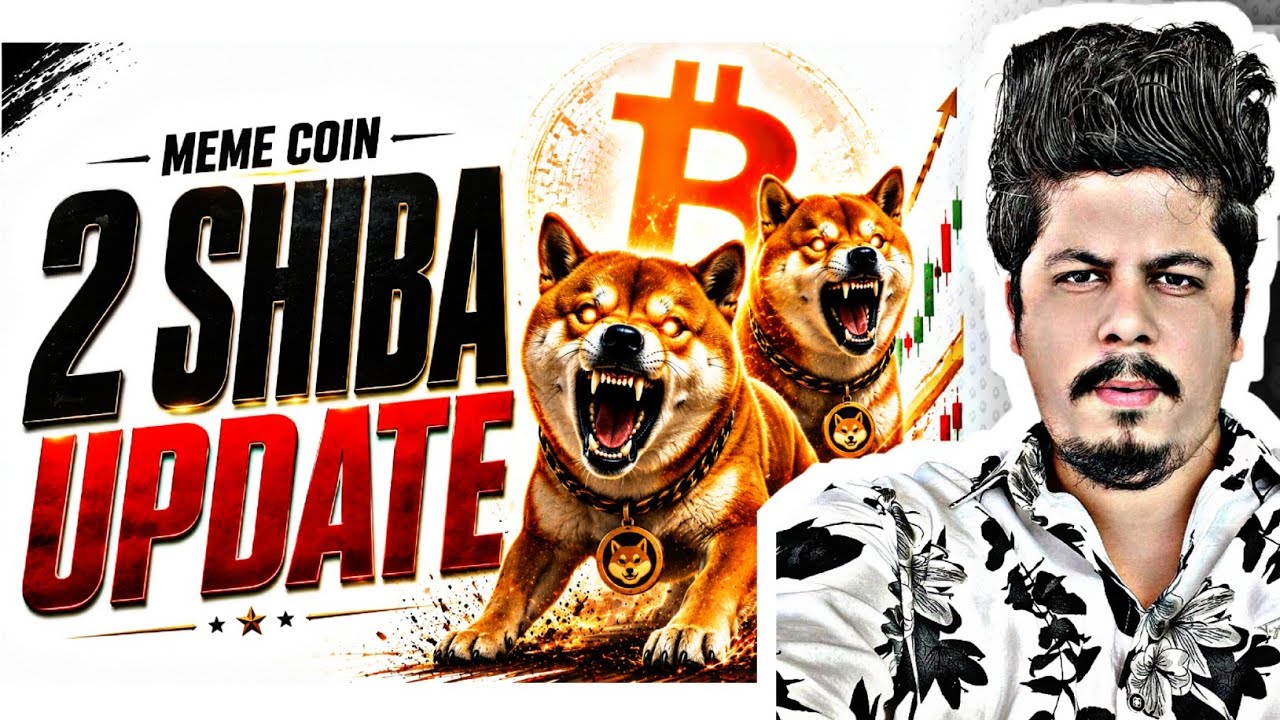2 Shiba Update