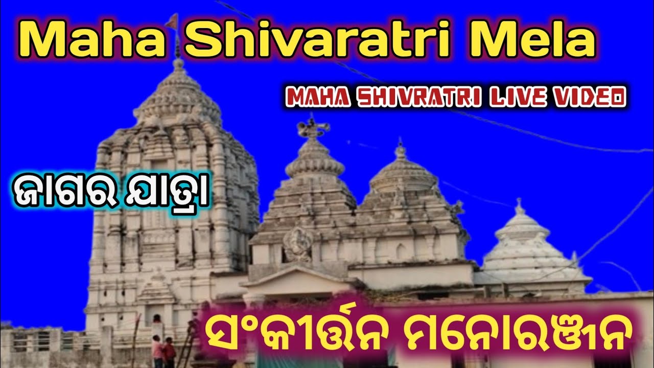 Siva ratri Live Video #short