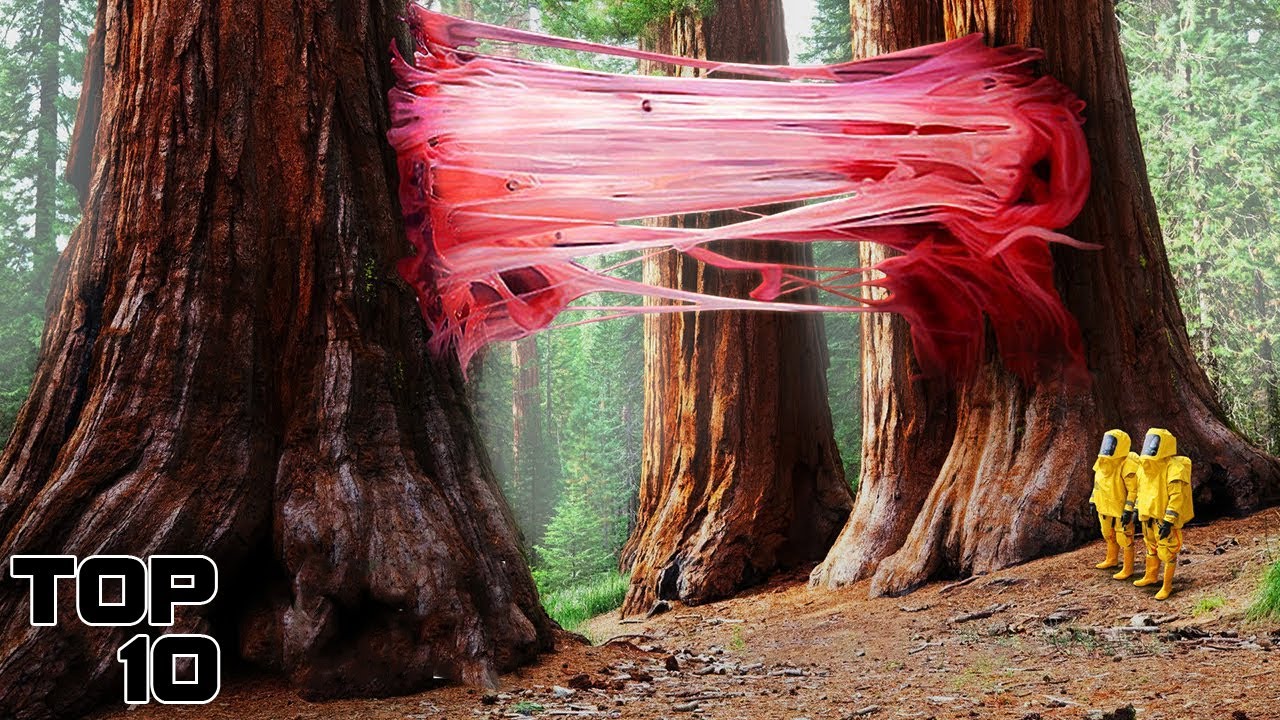 Top 10 Bizarre Places On Earth That Are Scientifically Impossible