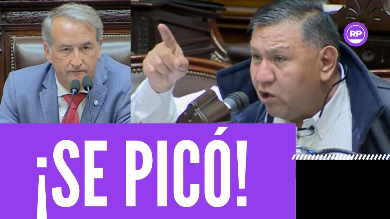¡libertario quiso hacer callar a diputado y le pegaron una flor de ubicada!