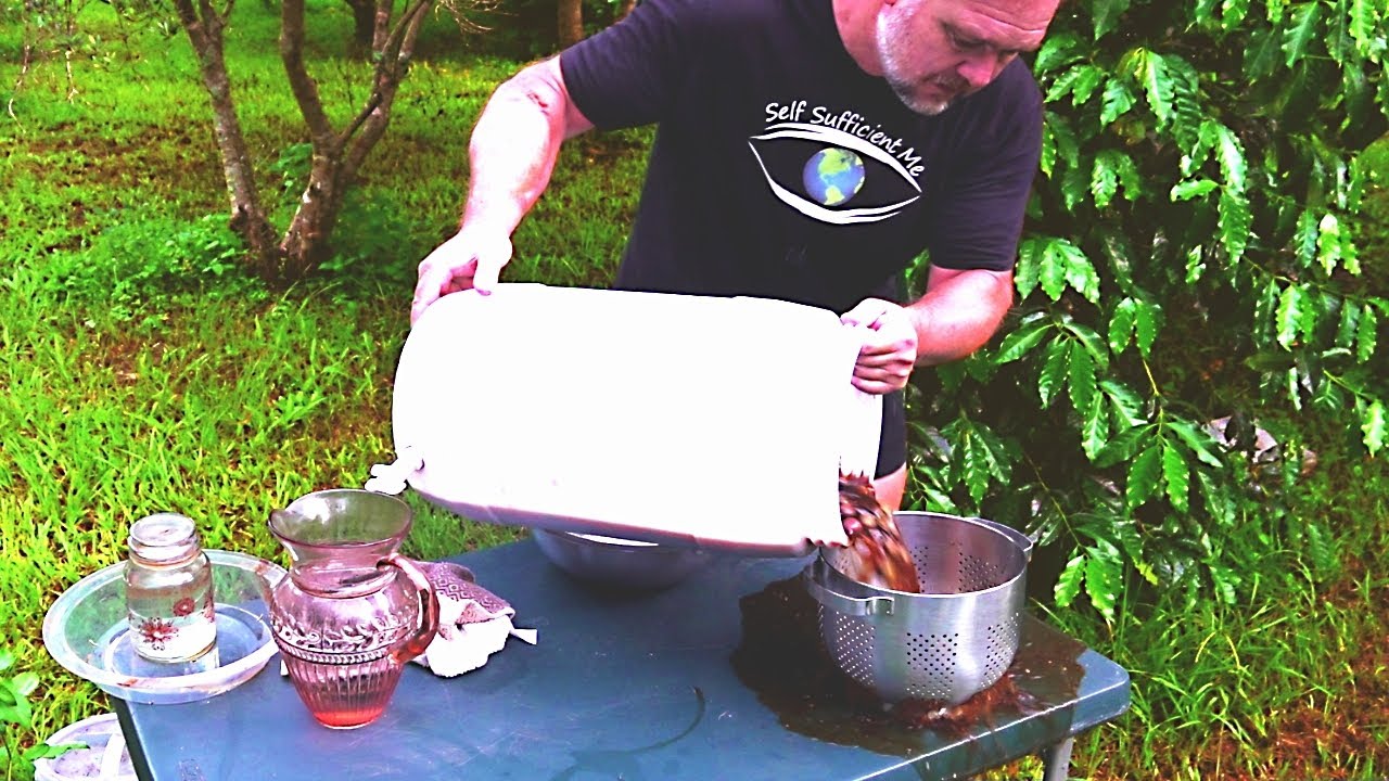 What Happens When You Cure Olives 4 YEARS in Brine?