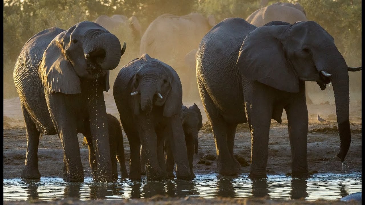 Namibia - Botswana - Zimbawe (versión completa)