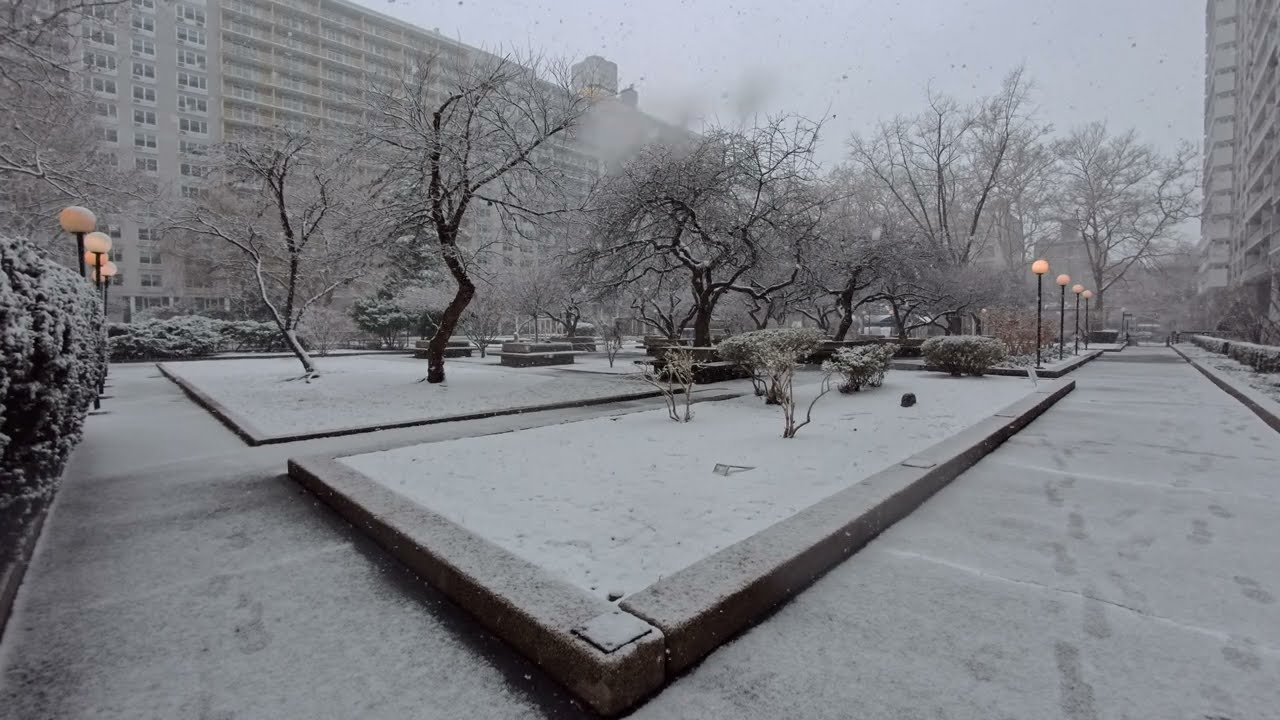 insta360 Ace Pro 2 4K 120P Video: Snowfall in a NYC Garden