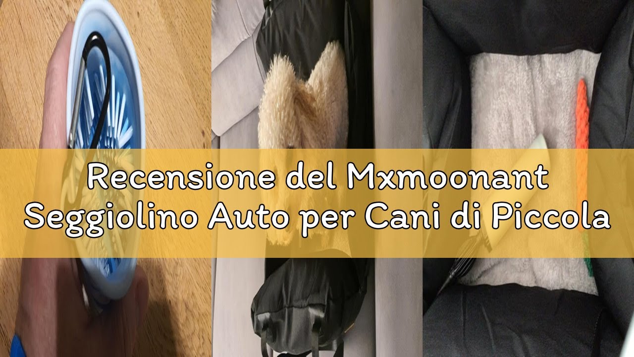 Recensione del Mxmoonant Seggiolino Auto per Cani di Piccola Taglia Peso inferiore a 10 kg, Rimovibi