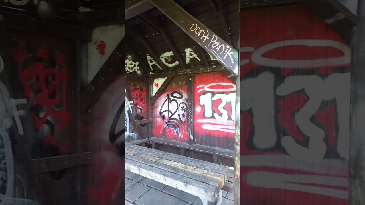 Wanderung am Weingartsteig  in Forchheim mit vielen Fr&uuml;hlingsblumen am Ostermontag 2023