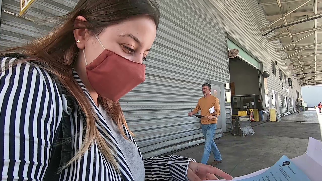 Vinda do Ted (coelho) para PORTUGAL ✦ Embarpet + Lufthansa