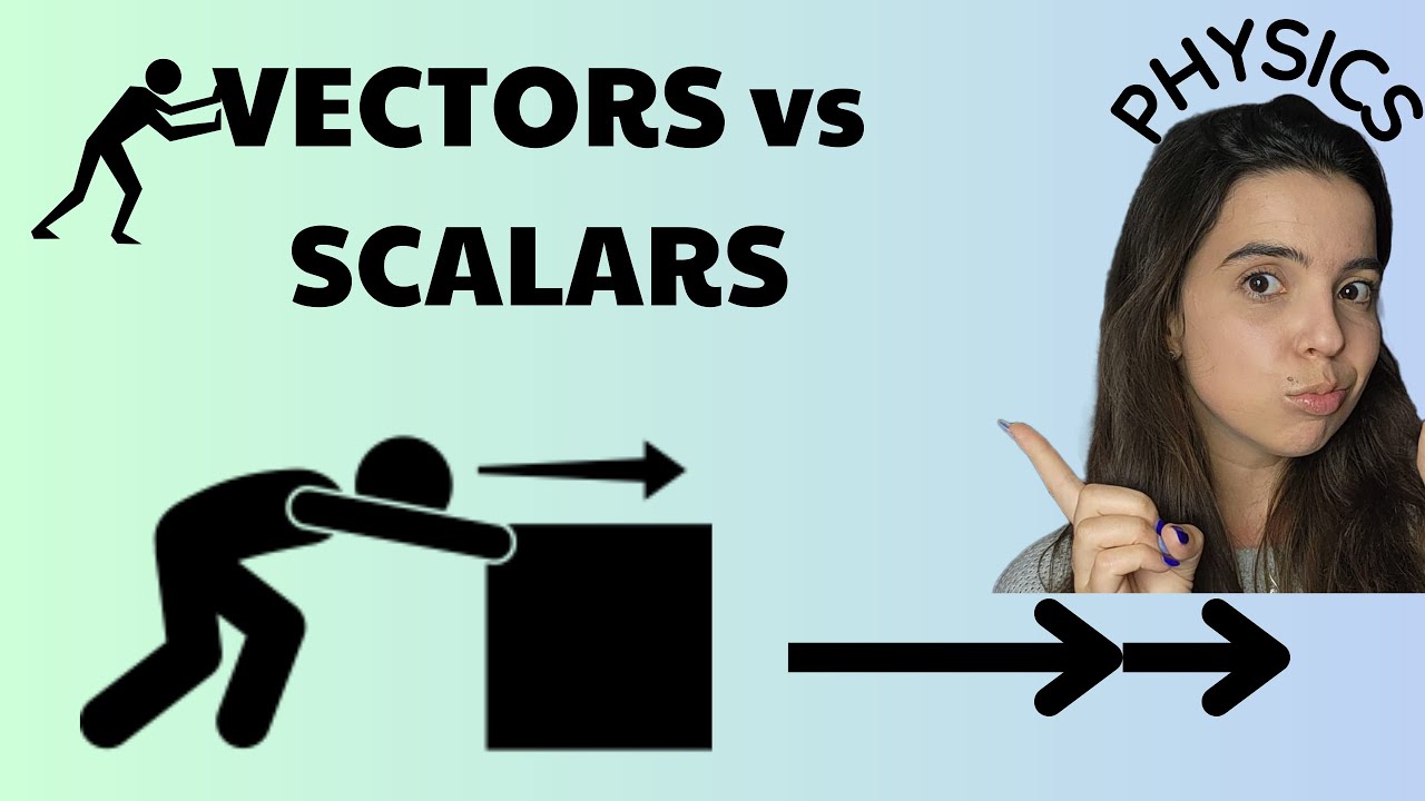 Vectors and Scalars Physics