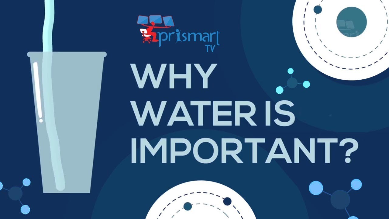 Importance of Water in Life | Importance of Water - YouTube