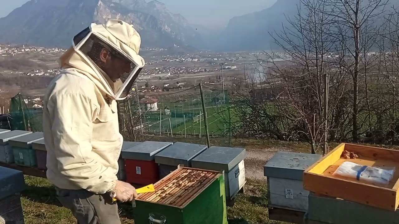 Prima visita, studi di caso. Caso 4