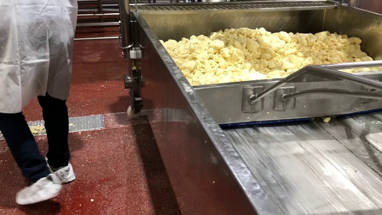 Complete Cheddar Cheese Plant
