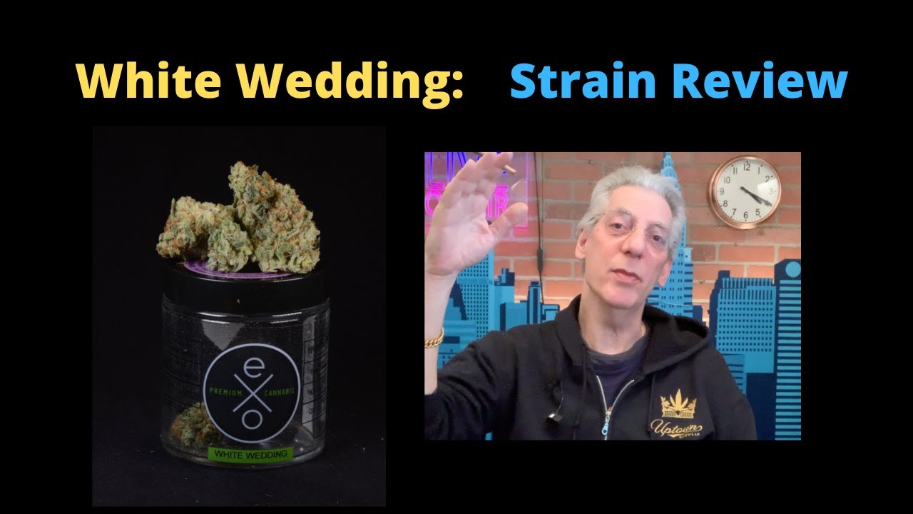 White Wedding Cannabis from Experience Organics Review