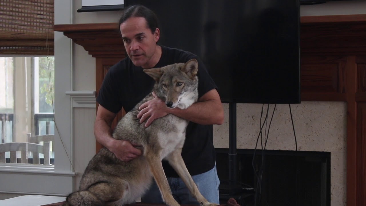 Coyote 10: Scooter Q and A