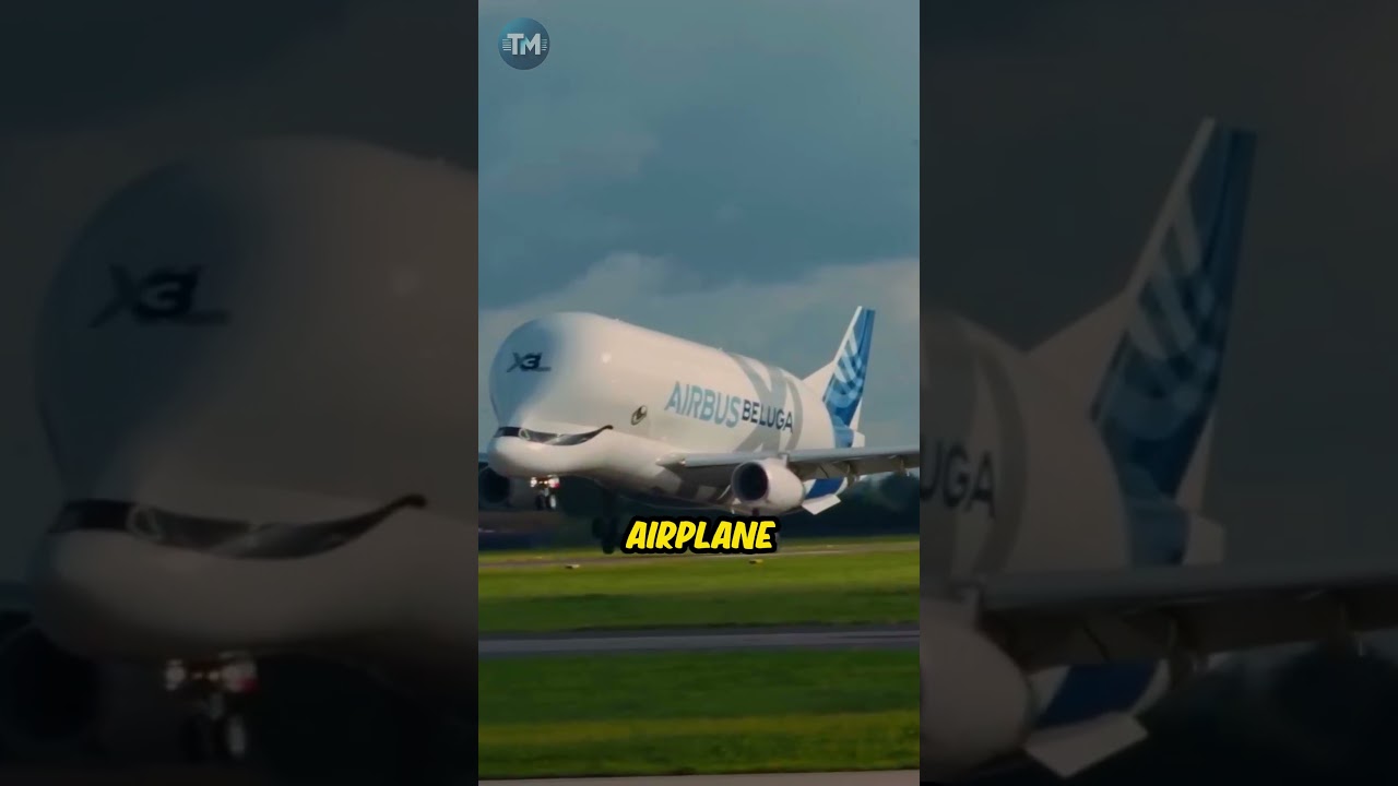 The World's Rarest Airplane - Airbus Beluga