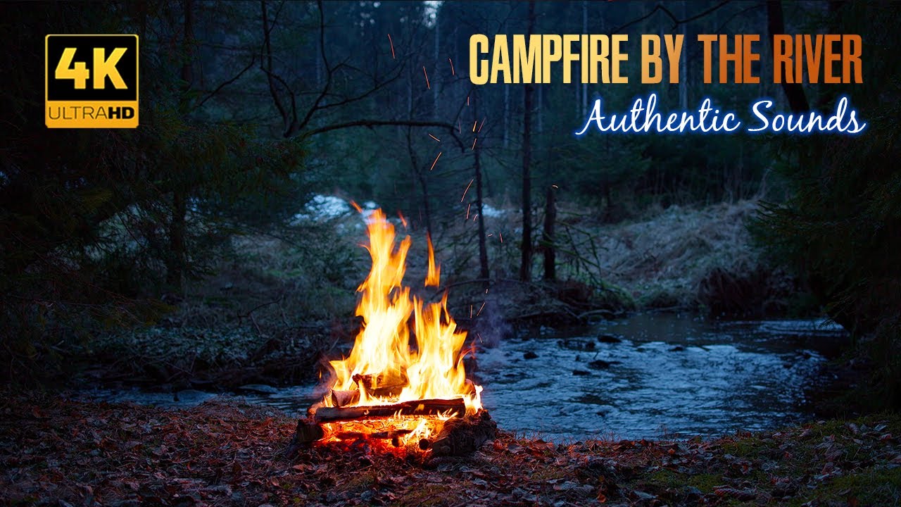 4K Campfire by the River 🔥 Authentic Sounds of Nature 🌲 Meditation