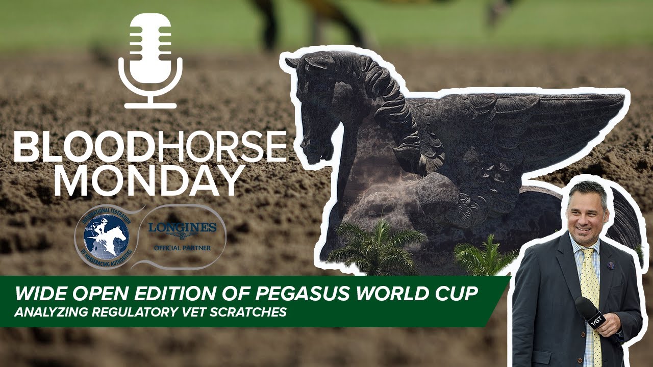 Wide Open Edition of Pegasus, Reg Vets Protecting Vulnerable Horses | BloodHorse Monday | E051