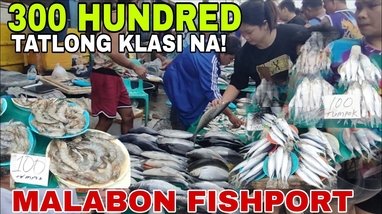 EPS 344 300 HUNDRED TATLONG KLASI NA! MAS PINADAMI ANG TUMPUKAN|MALABON FISHPORT