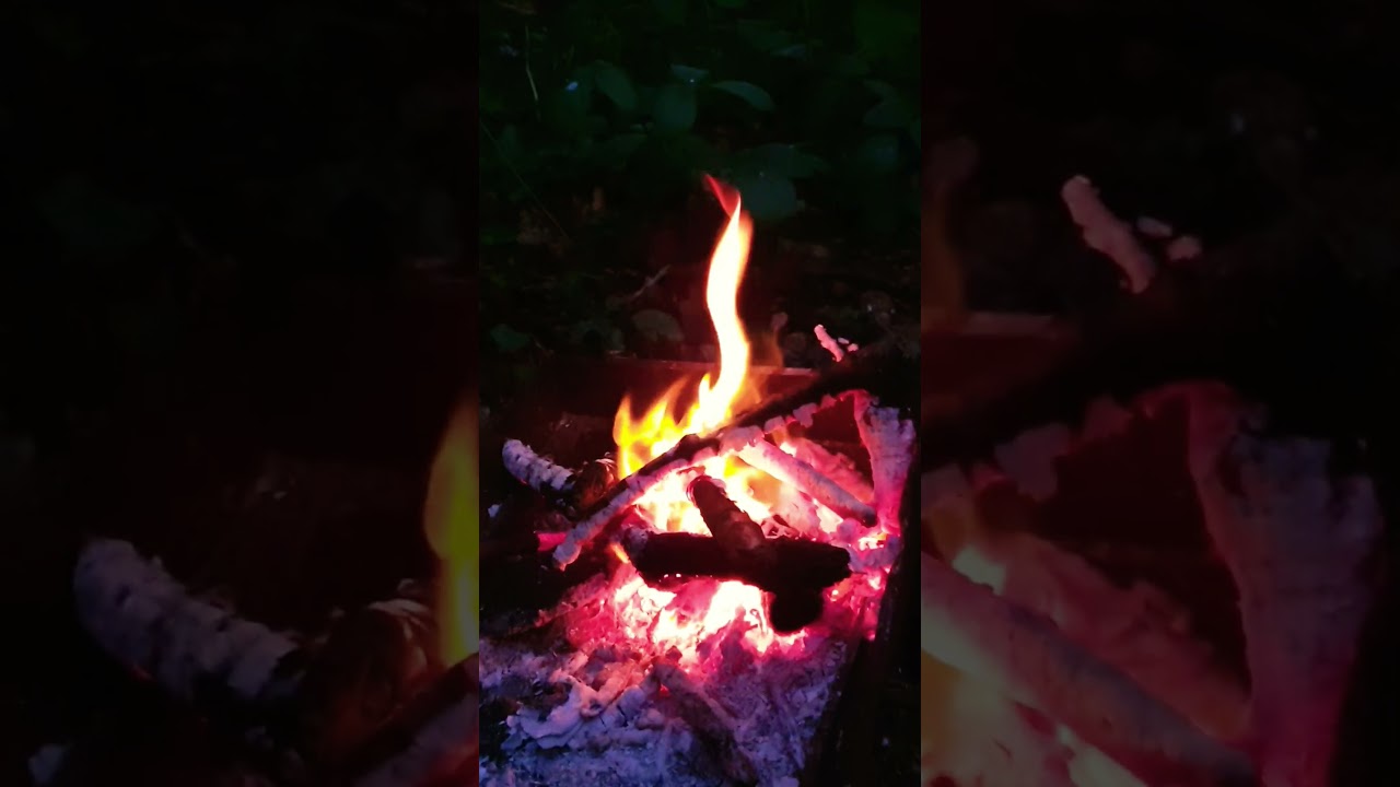 Fire in the forest.  Relaxing and meditation video. Real sounds of nature 4K #fire #4k