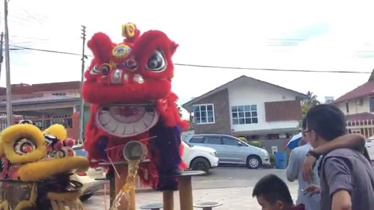 Chinese Lion Dance Drink beer fail