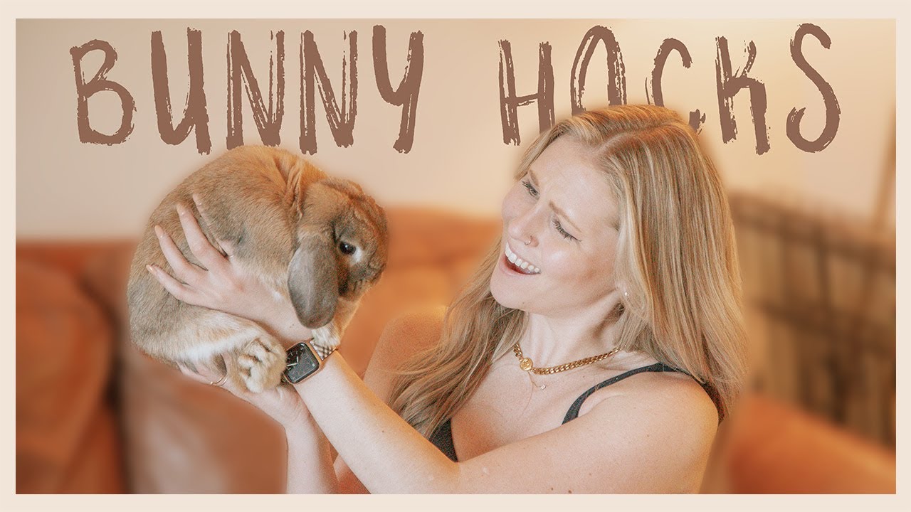 Bunny Life Hacks