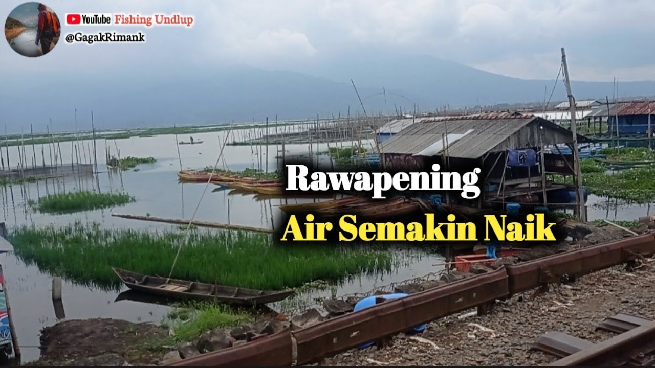 Mencari Titik Spot Ganggengan. Setelah Hujan Tiap Hari/Mancing Rawa Pening Terbaru#FU-339