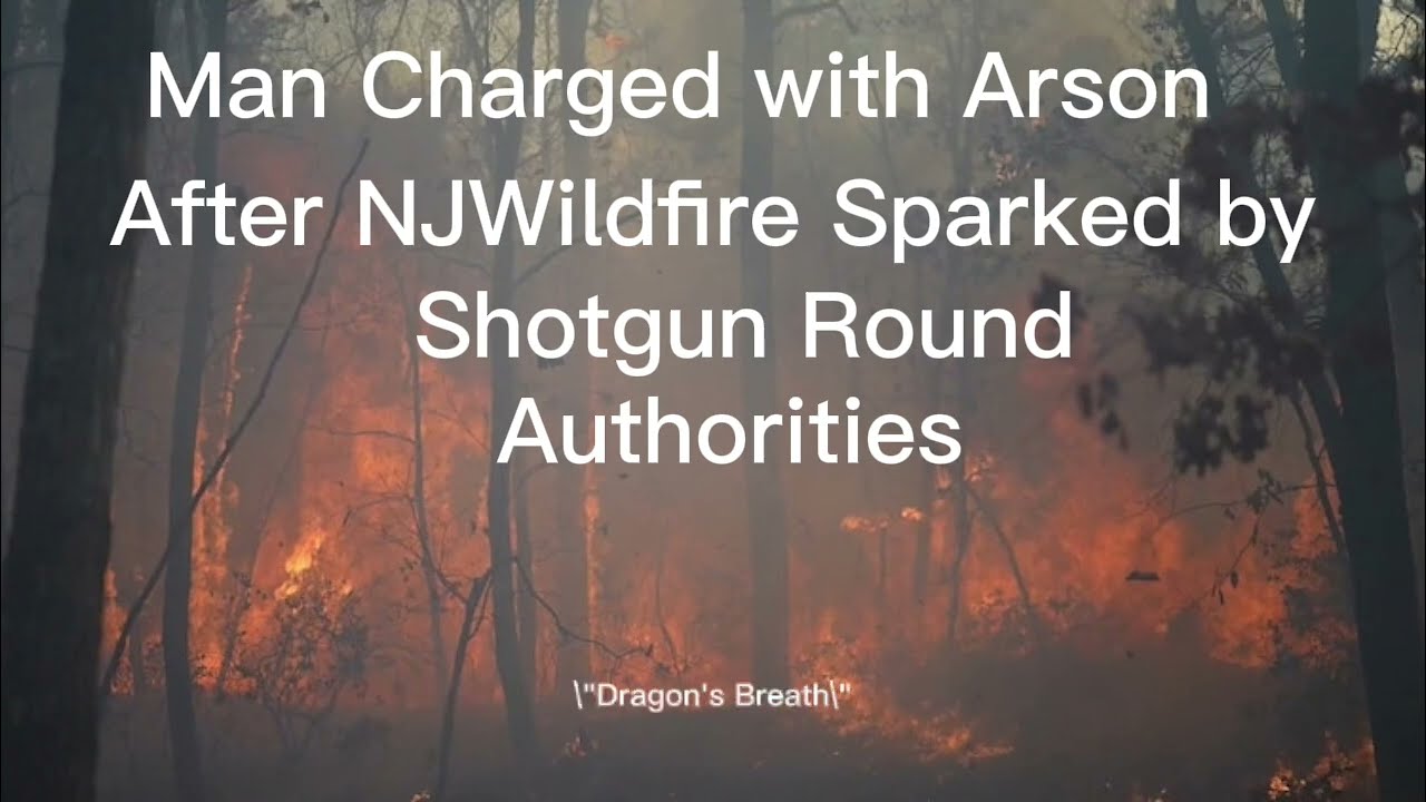 Man charged with arson after NJ wildfire sparked by shotgun round: Authorities