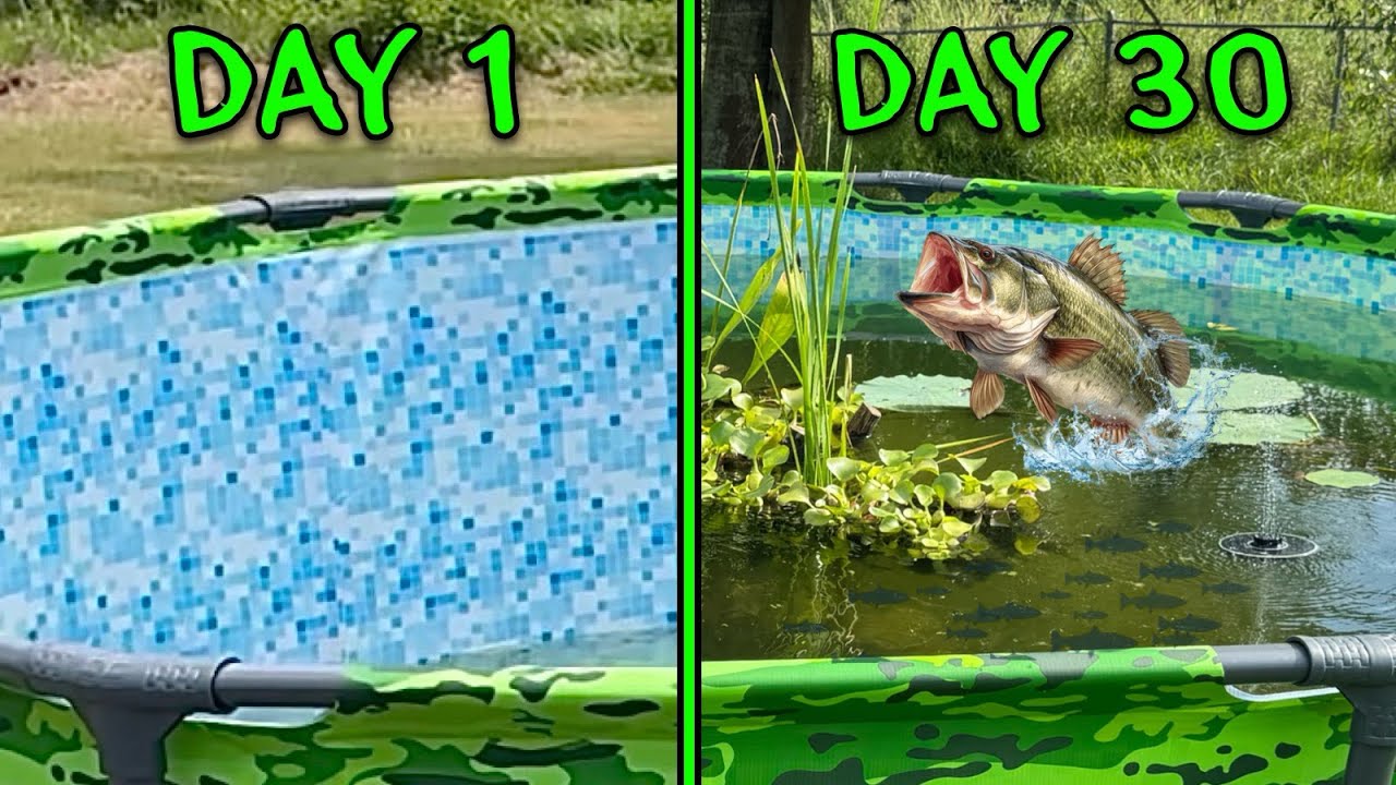 Building the Ultimate Backyard Pool Pond – New Fish, Plants, and Upgrades! 