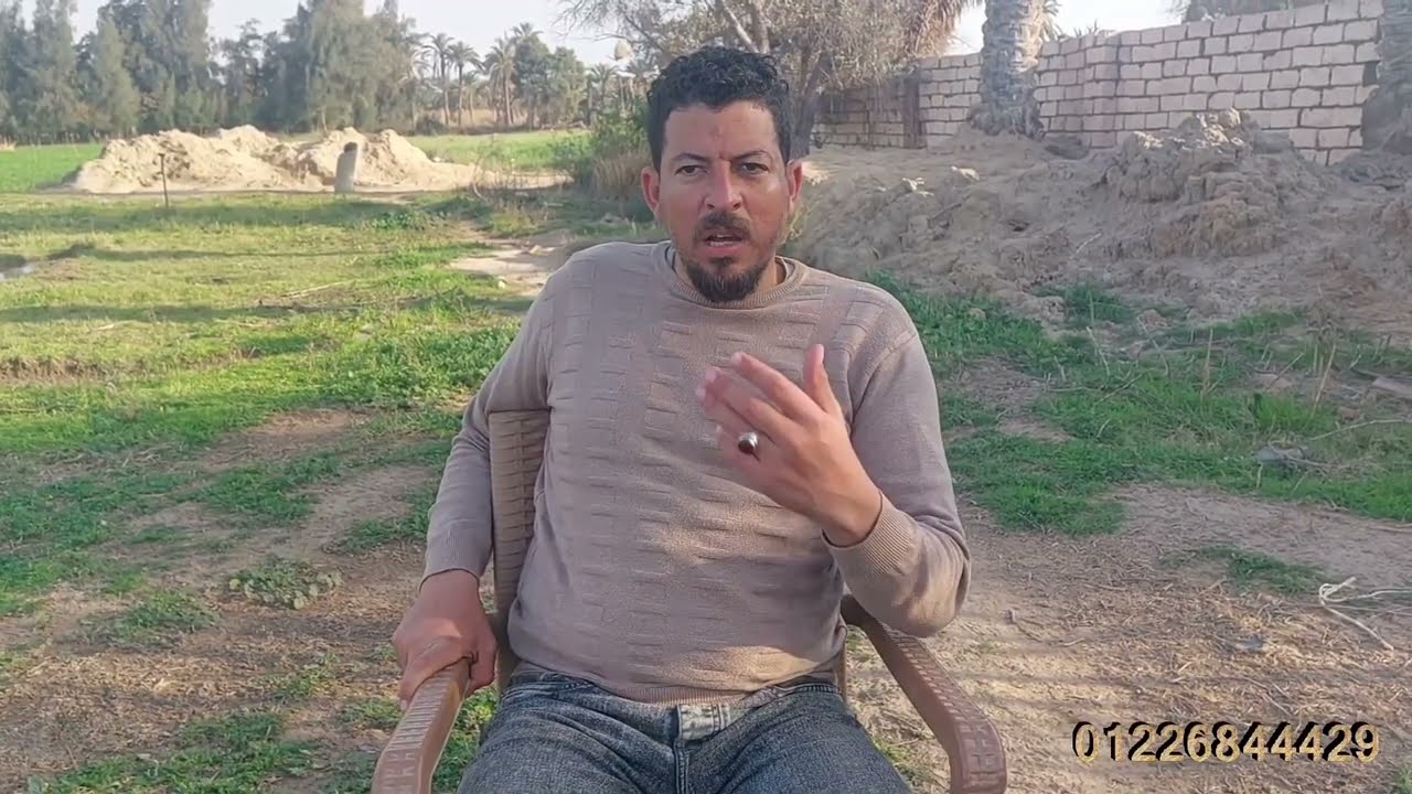 دراسة جدوي مشروع تربية الاغنام من بداية يوم الي نهاية الدورة | قناة اغنام برقي