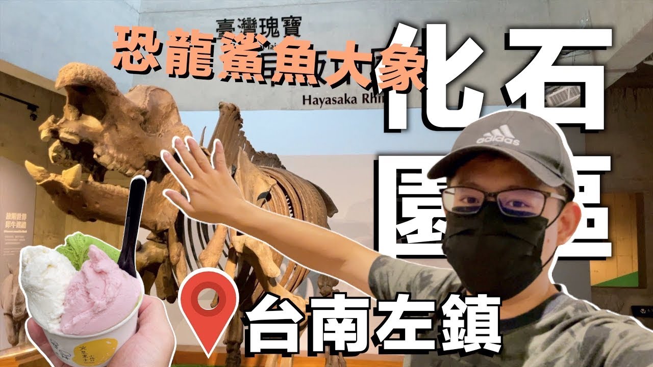 跟豬一樣大的大象？帶你一探恐龍大象化石 左鎮化石園區