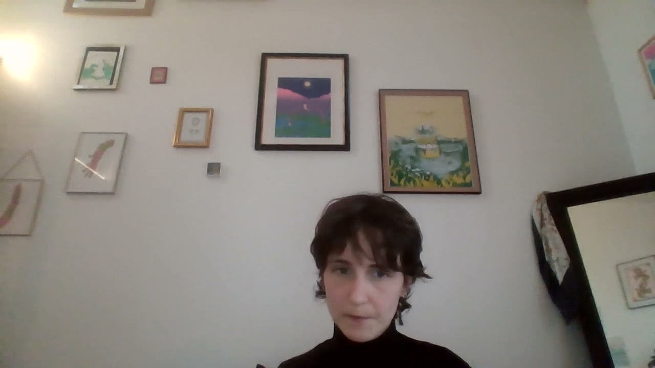 Candidature Université Jules Verne - Camille Lardeau