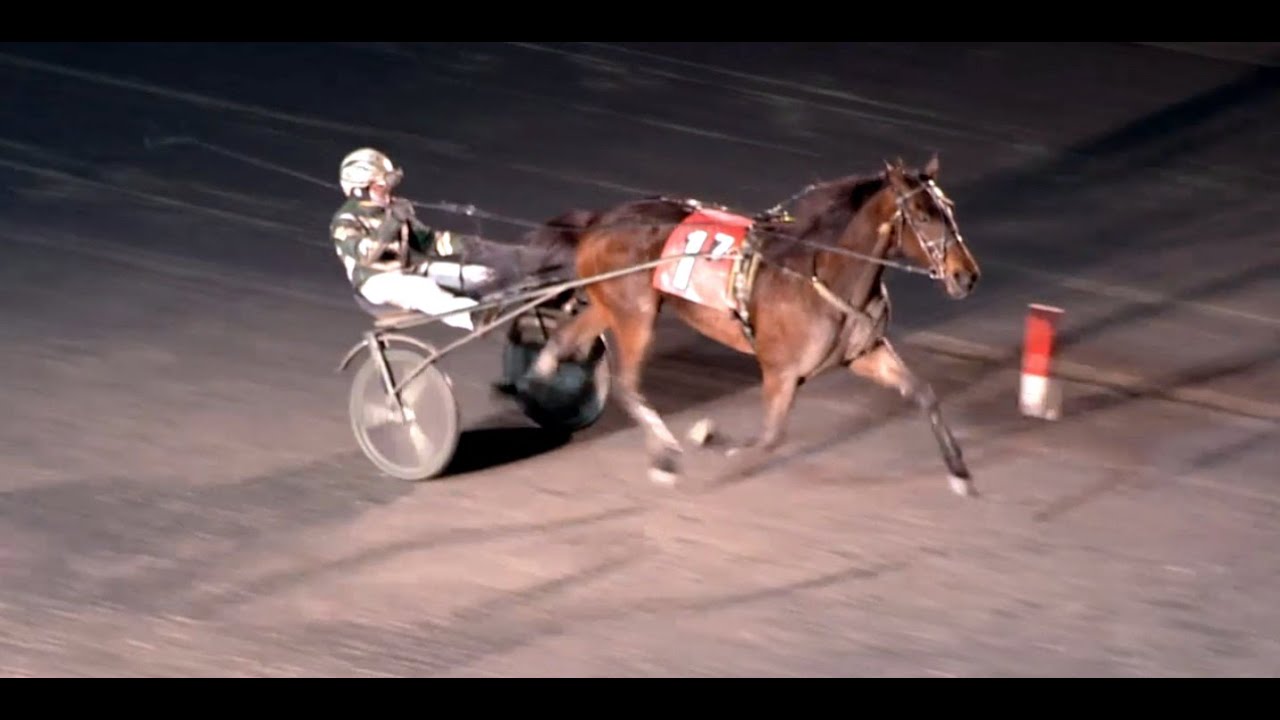 Antognoni & Yannick Gingras & wins MGM Grand Prix Trotting Series Final ($250,000) at Yonkers.