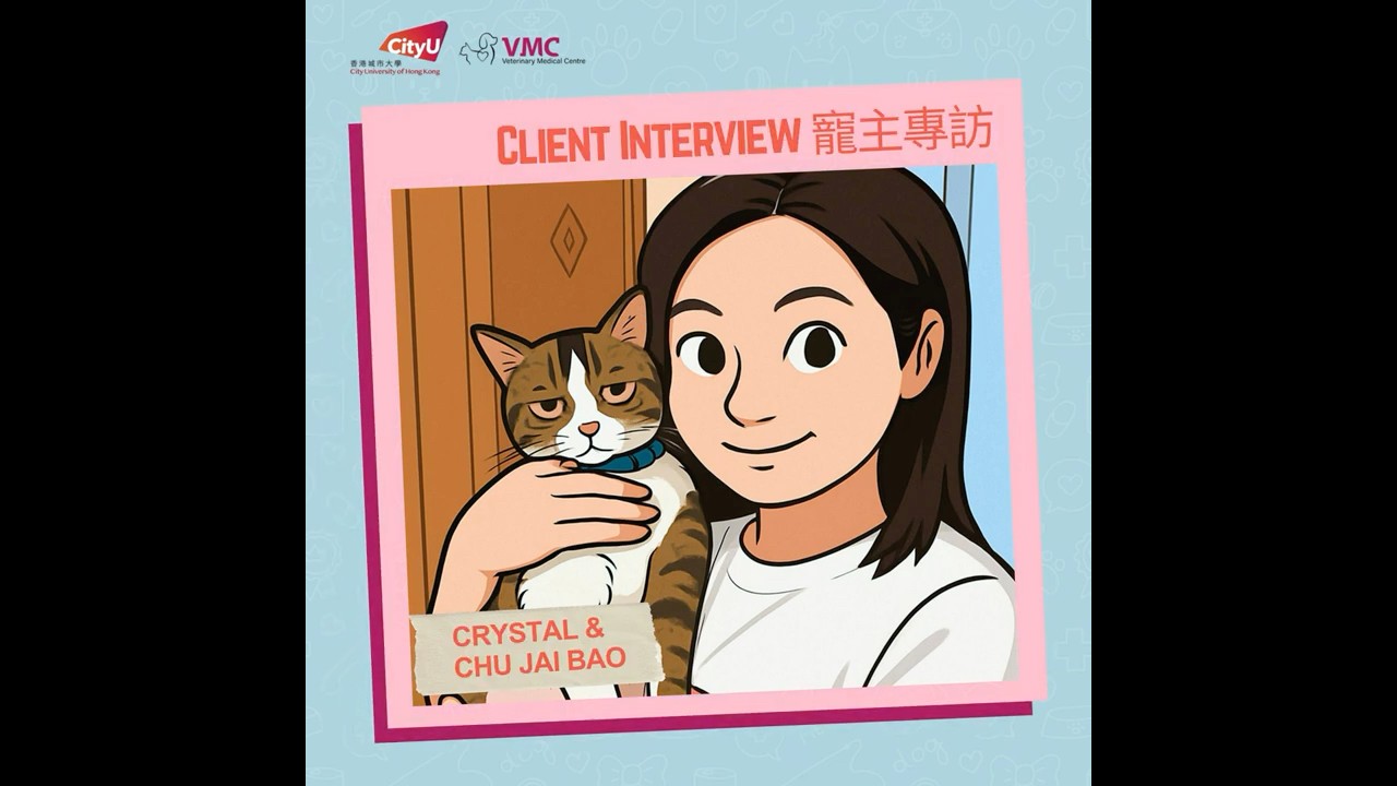 CityU VMC Client Interview 城大動物醫療中心寵主專訪