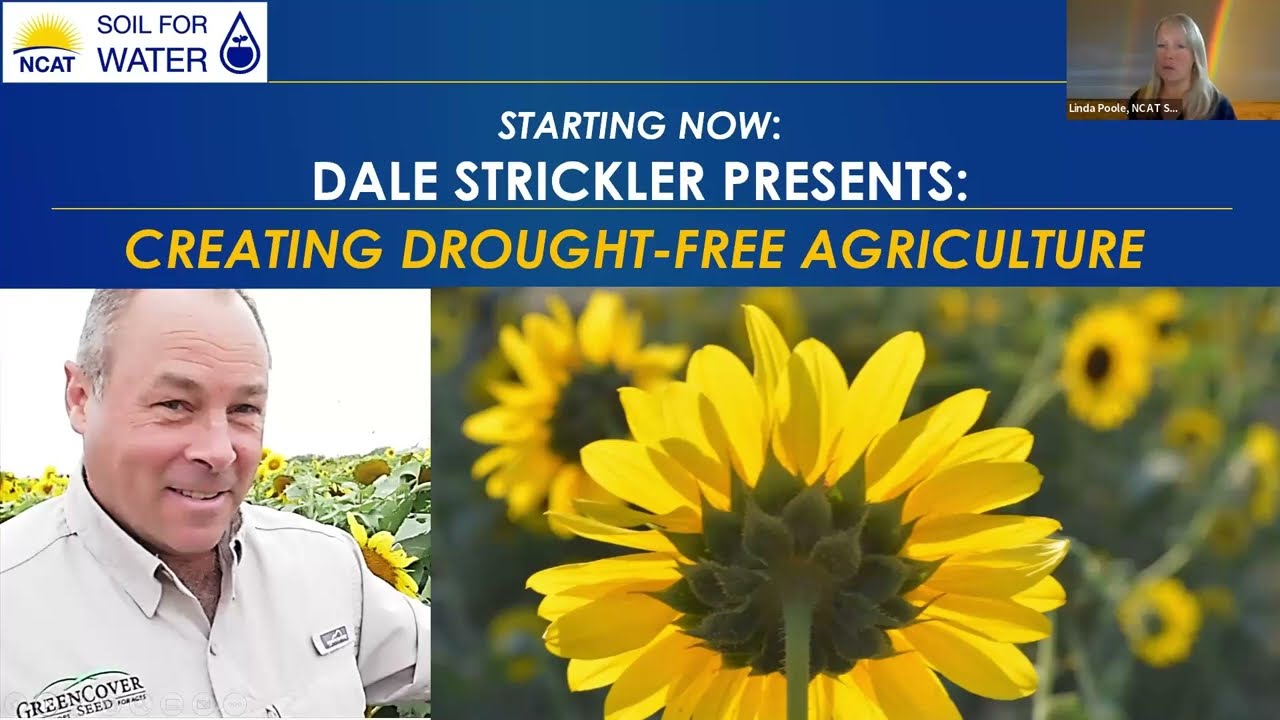 Dale Strickler: Creating Drought-Free Agriculture