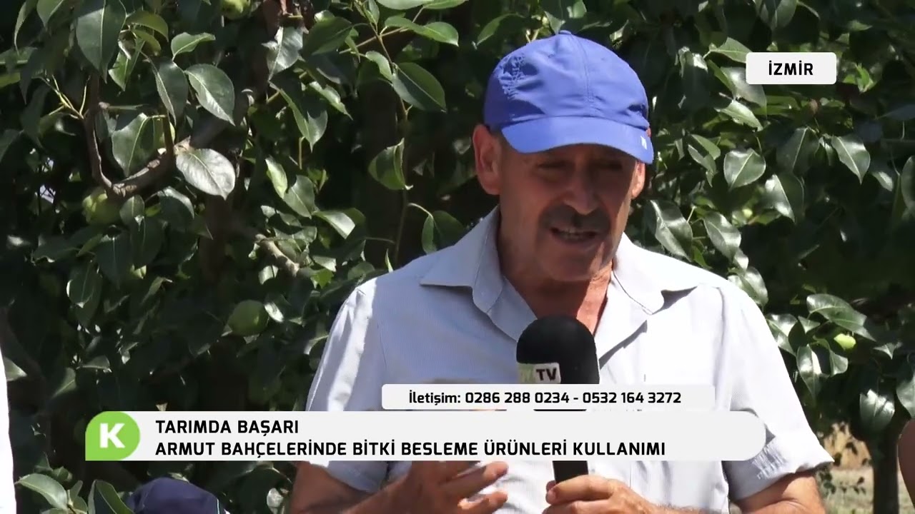 ARMUT BAHÇELERİNDE BİTKİ BESLEME ÜRÜNLERİ KULLANIMI | TARIMDA BAŞARI