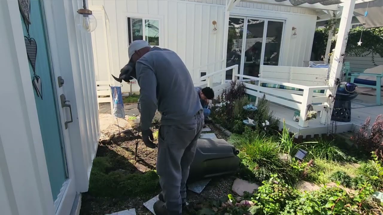 Cleaning up garden part 1 
