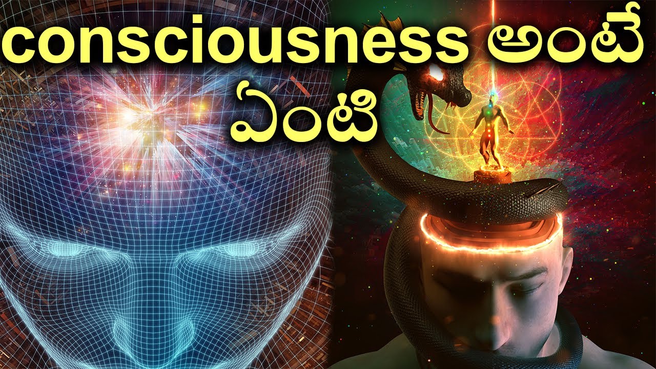 What is consciousness?, Telugu Alchemist