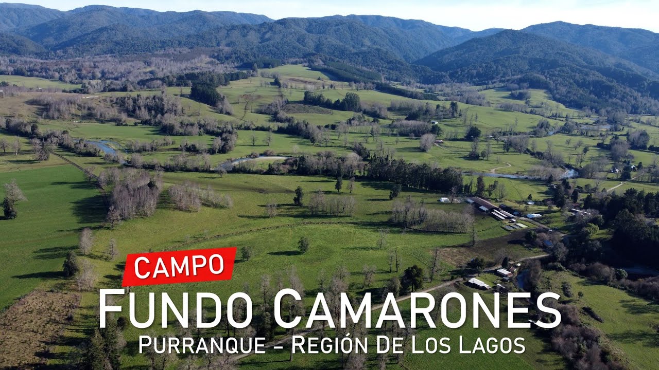 Campo en Purranque, Camarones – Región de Los Lagos
