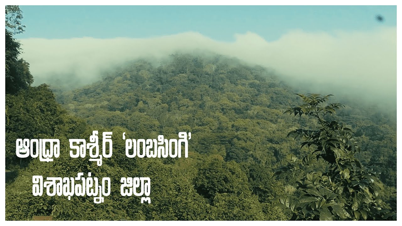 Andhra Kashmir | Lambasingi | ఆంధ్రా కాశ్మీర్ | లంబసింగి  | AP Tourism | PVK Knowledge Bank |