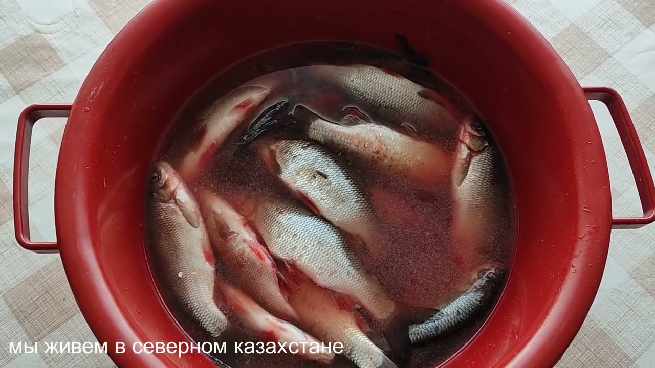 Рыбные консервы в автоклаве. Чебак в масле и томатном соусе.