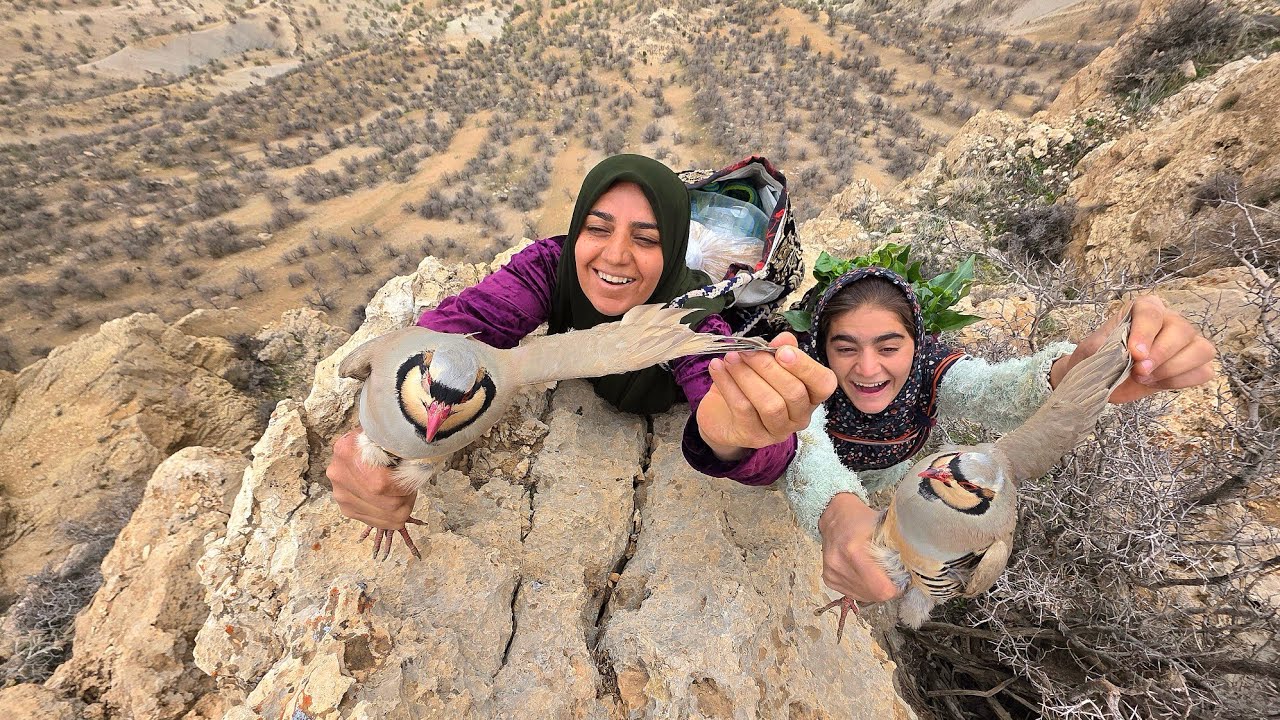 🏔️😱🐦 A Nomadic Mother and Daughter Caught a Wild Partridge Alive in the Zagros Mountains! Shocking!