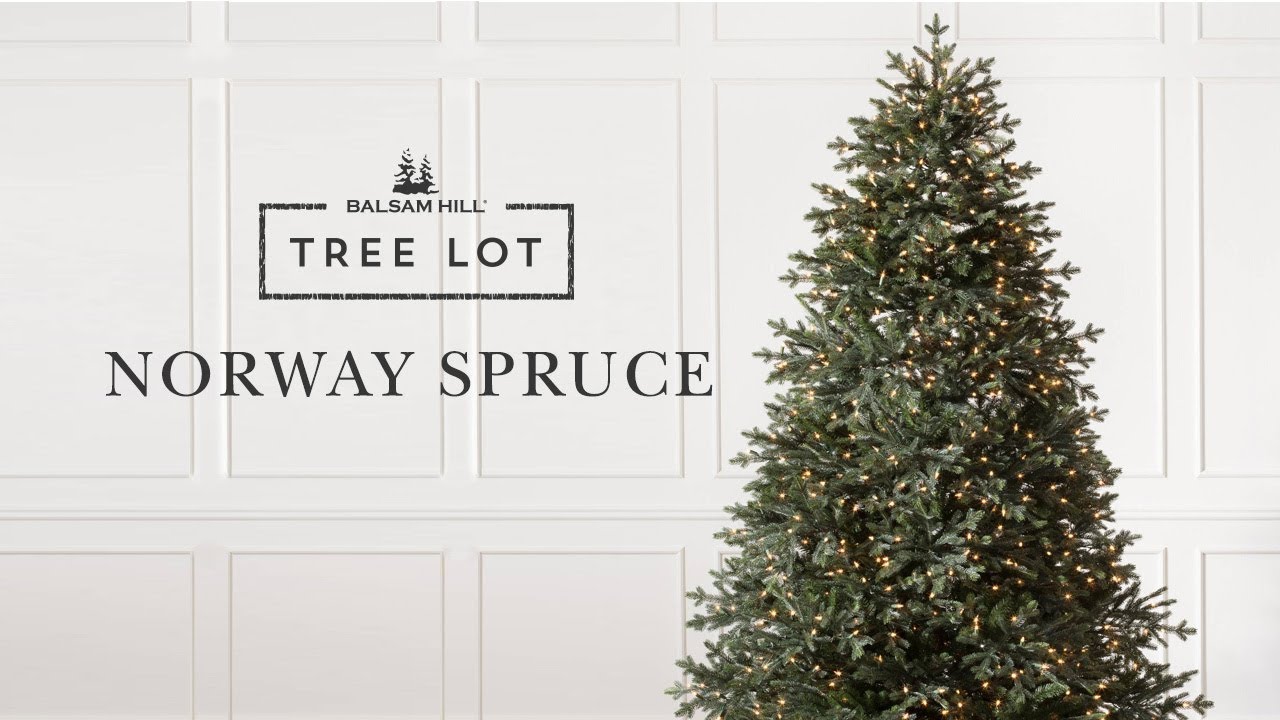 Norway Spruce Artificial Christmas Tree | Balsam Hill® Tree Lot