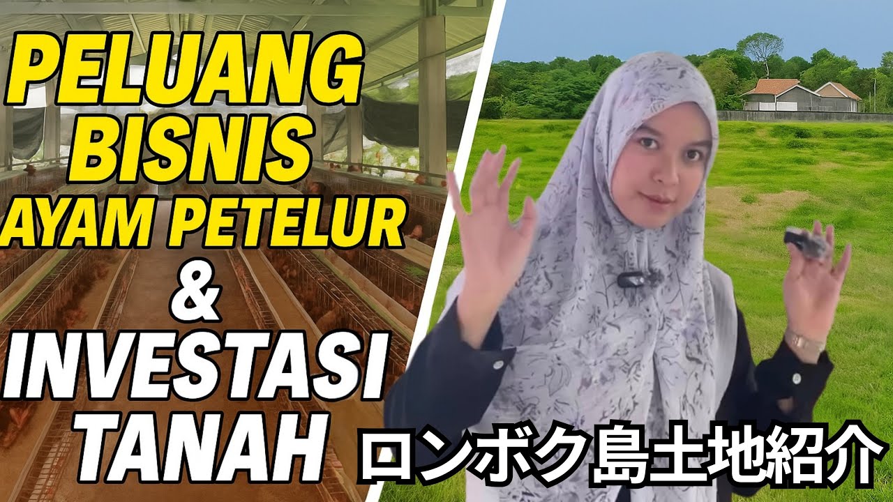 ロンボク島土地紹介Vol.11/Peluang Emas di Lombok Bisnis Ayam Petelur & Investasi Tanah yang Menjanjikan