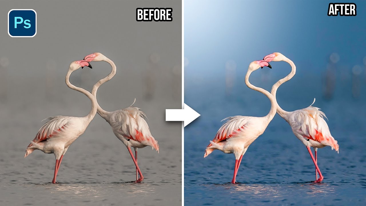 Try the Power of Masking for Smarter Color Grading in Photoshop Camera