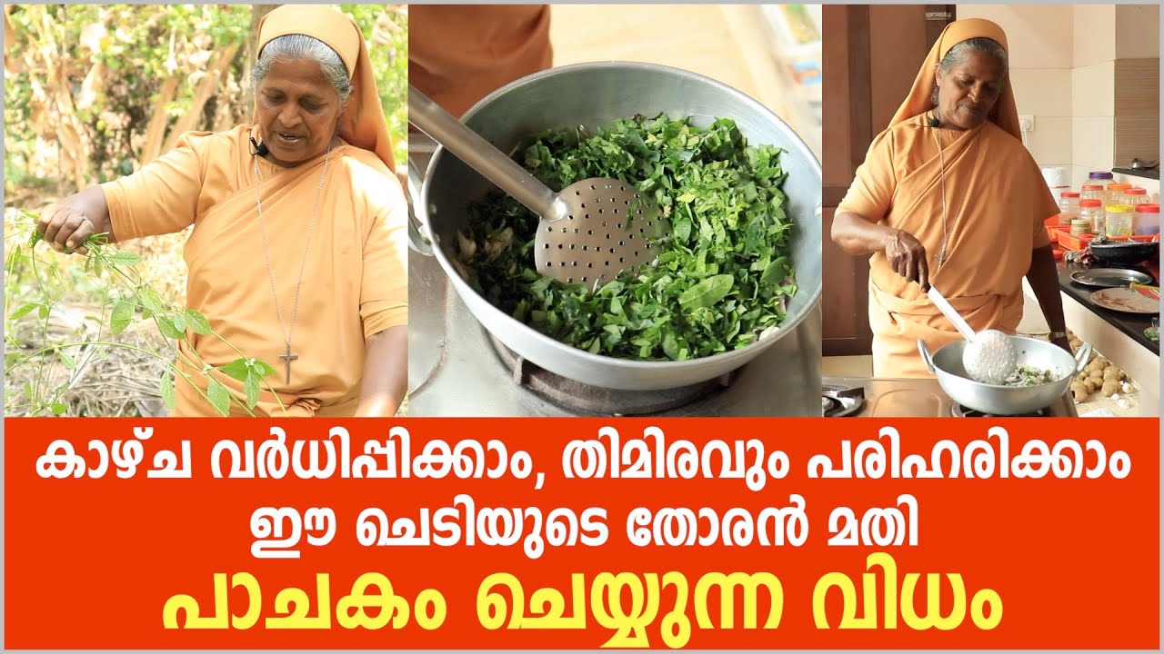 കാഴ്ച വർധിപ്പിക്കാം,തിമിരവും പരിഹരിക്കാം/ഈ ചെടിയുടെ തോരൻ മതി, പാചകം ചെയ്യുന്ന വിധം/eye diseases