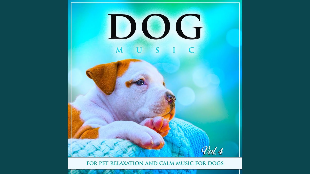Calming Music For Dogs