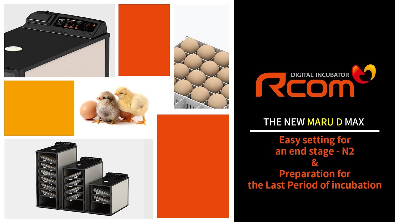 Rcom MARU D incubator - Easy setup for final incubation stage - N2 and last period preparation.