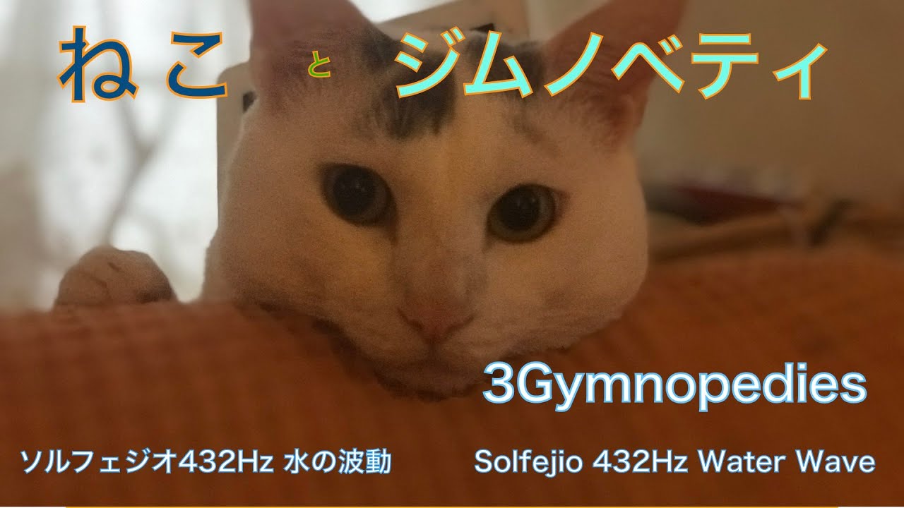 ソルフェジオ432Hz ねことジムノペディ　3 Gymnopédies (Satie, Erik)