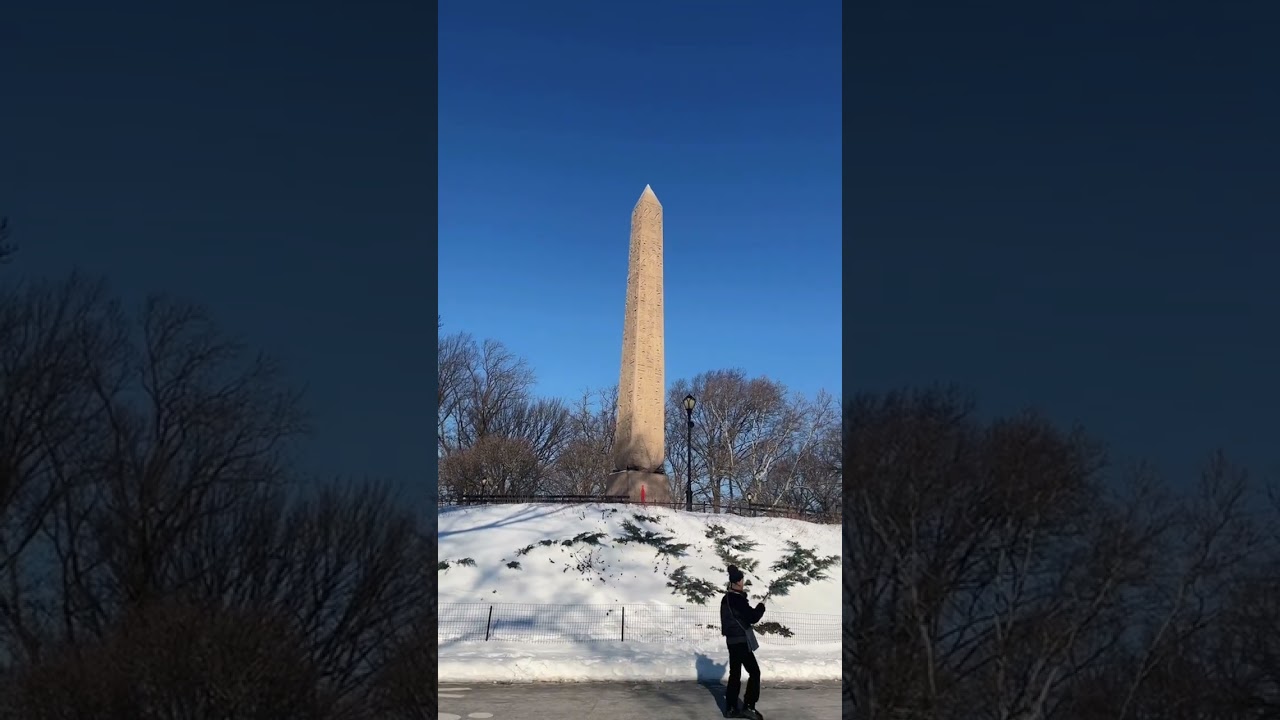 紐約大都會藝術博物館今天的課程完成了，在唐人街與妹妹共進晚餐，老畫收到了，UPS寄到我以前的居住地址去，幸虧鄰居小徐幫我收好了，從新去郵局修改了地址，搬家之後在郵局修改地址看來還是一門了不起的學問❄️