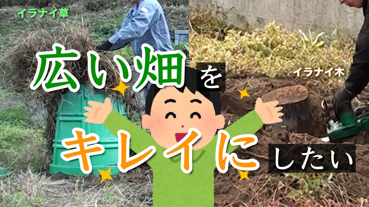 【畑作り】広い畑を楽しくキレイにしたい