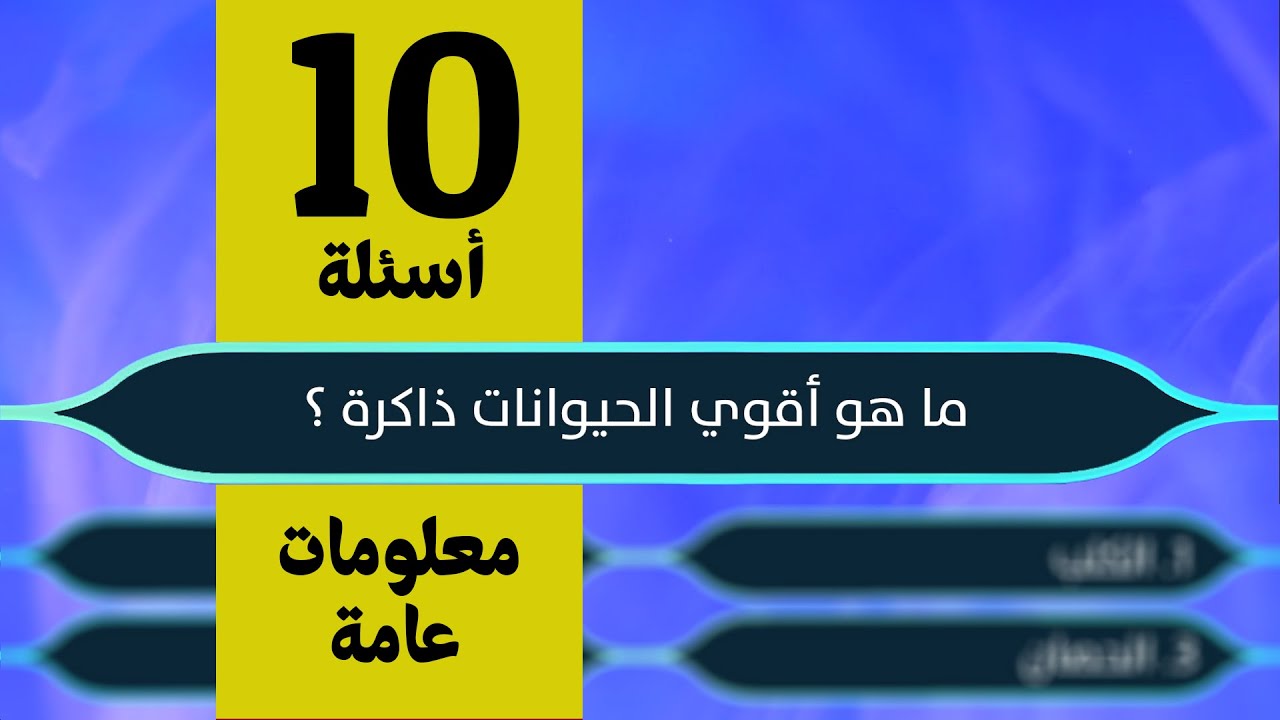 تحدي ألغاز و معلومات- معلومات عامة