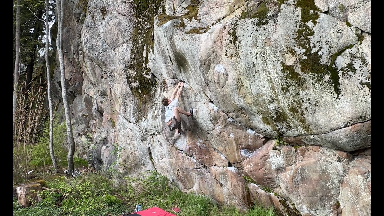 Messevät Dynot - Caesar (7C)